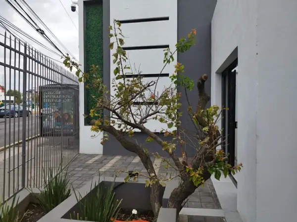 Consultorio en renta en Toluca de Lerdo Centro, Toluca — foto 2 de 7