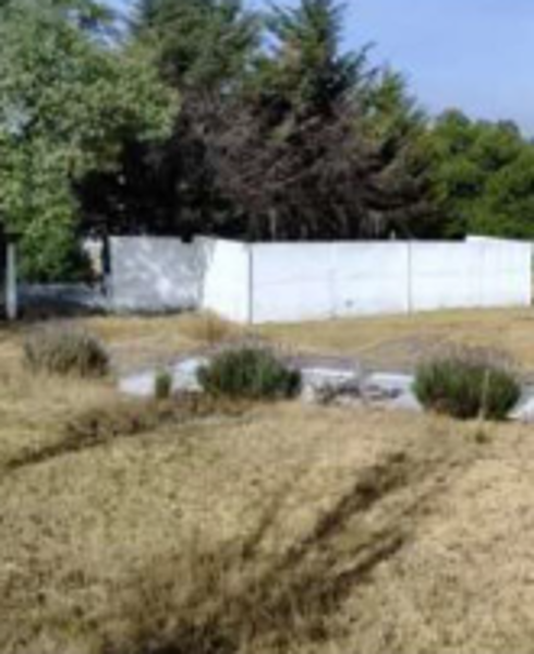 TERRENO CAMPESTRE EN LA ZONA DE CAPUHLUAC CON VISTA A LA LAGUNA