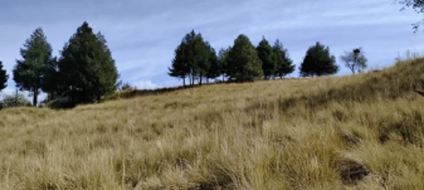 Terreno en venta en Guadalupe Victoria, Capulhuac — foto 2 de 11