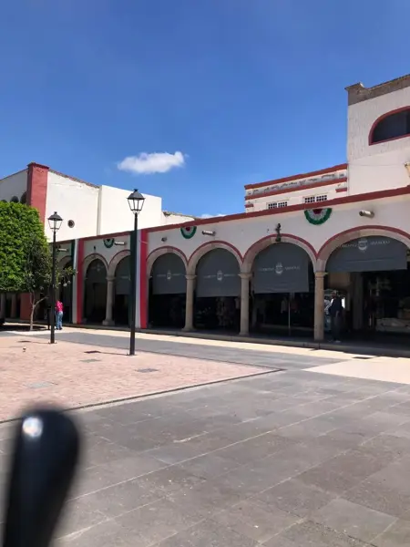 Terreno en venta en Abasolo Centro, Abasolo — foto 3 de 3