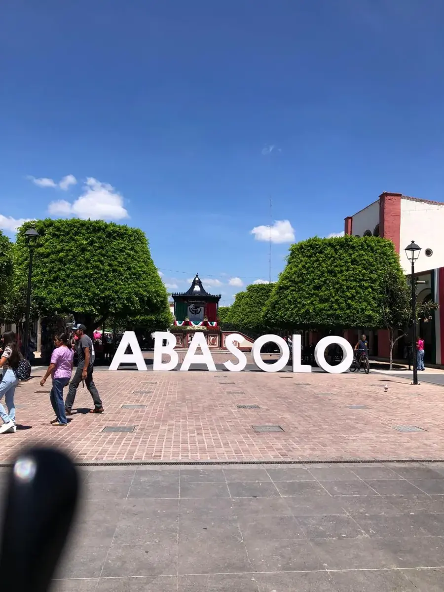 Terreno en venta en Abasolo Centro, Abasolo — foto 1 de 3