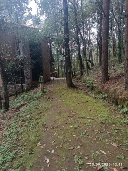 Terreno en venta en Kercus, Pátzcuaro — foto 2 de 13