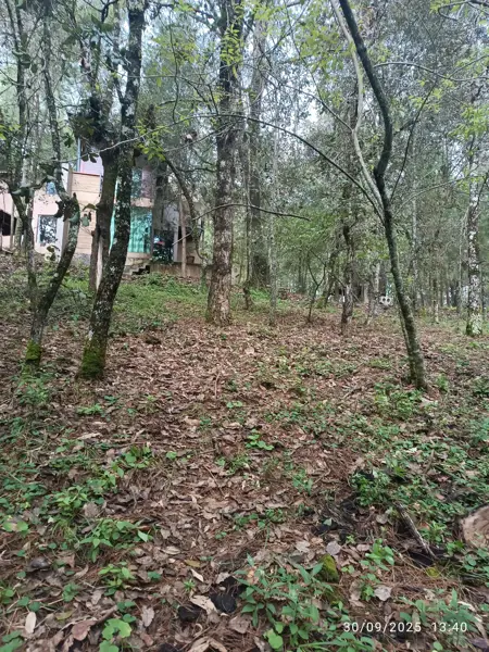 Terreno en venta en Kercus, Pátzcuaro — foto 3 de 13