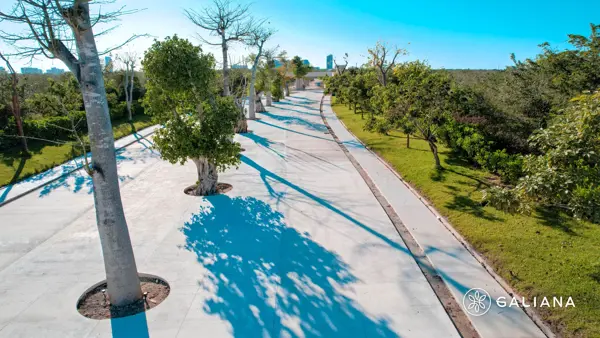 Terreno en venta en Santa Gertrudis Copo, Mérida — foto 2 de 5