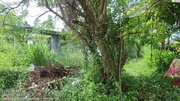 Terreno en venta en Real Mandinga, Alvarado — foto 3 de 5