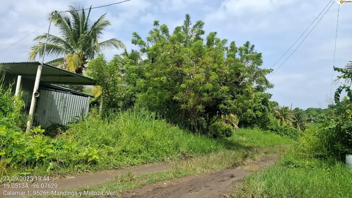 Terreno en venta en Real Mandinga, Alvarado — foto 1 de 5