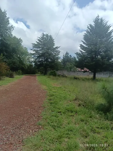 Terreno en venta en Santa Ana Chapitiro, Pátzcuaro — foto 3 de 15