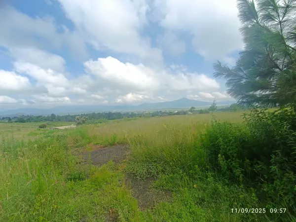 Terreno en venta en San Pedro Pareo, Pátzcuaro — foto 3 de 15