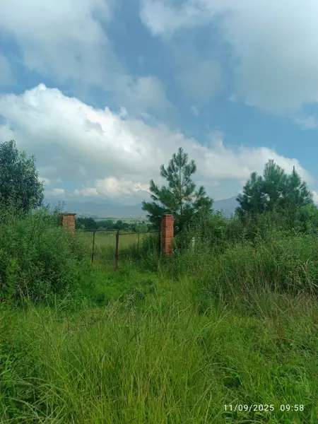 Terreno en venta en San Pedro Pareo, Pátzcuaro — foto 2 de 15