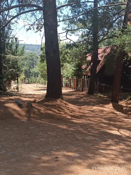 Terreno en venta en Popular Vasco de Quiroga, Pátzcuaro — foto 2 de 20