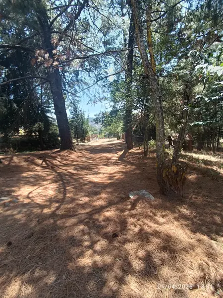 Terreno en venta en Popular Vasco de Quiroga, Pátzcuaro — foto 3 de 20