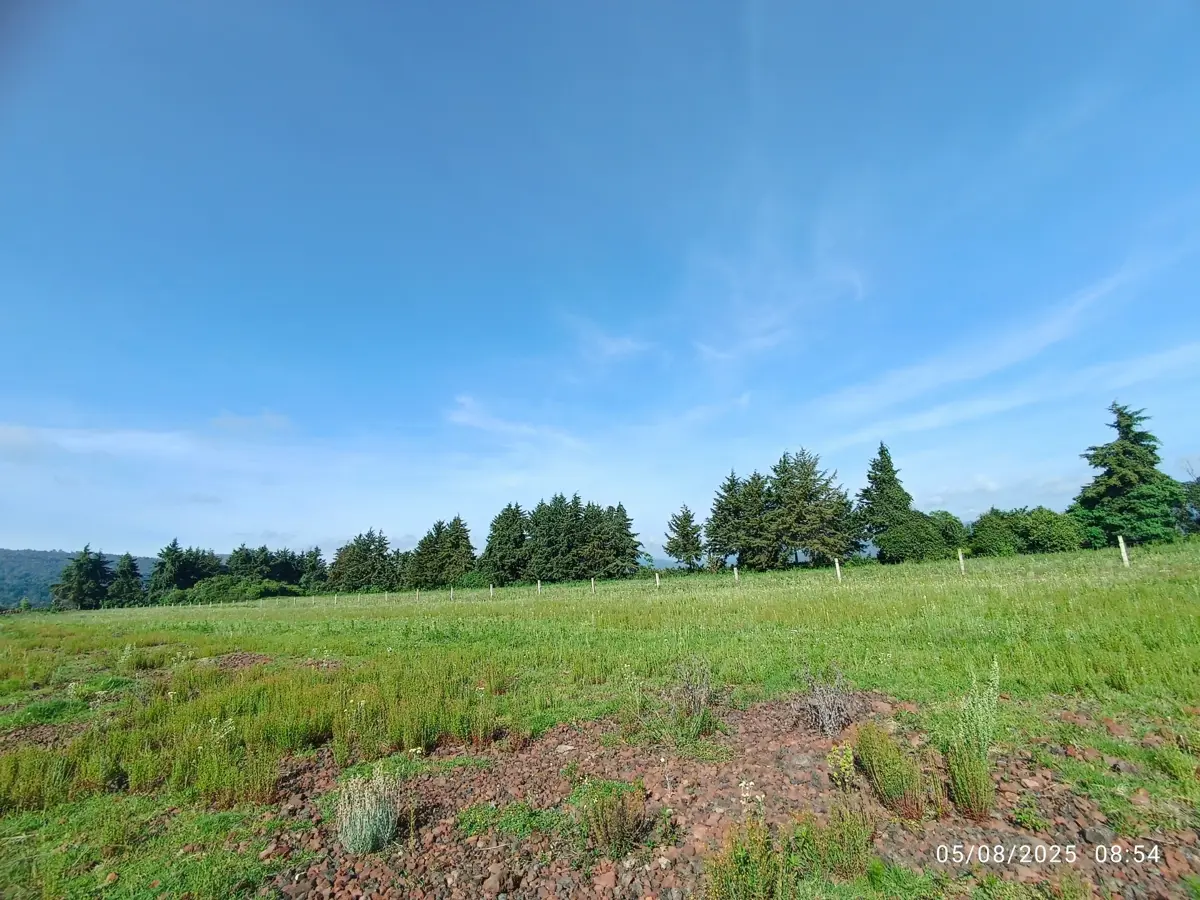Terreno en venta en Lázaro Cárdenas (San Bartolo Pareo), Pátzcuaro — foto 1 de 11