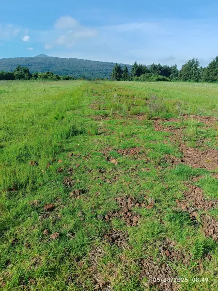 Terreno en venta en Lázaro Cárdenas (San Bartolo Pareo), Pátzcuaro — foto 2 de 11