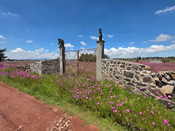Terreno en venta en El Saltillo, Jilotepec — foto 2 de 10