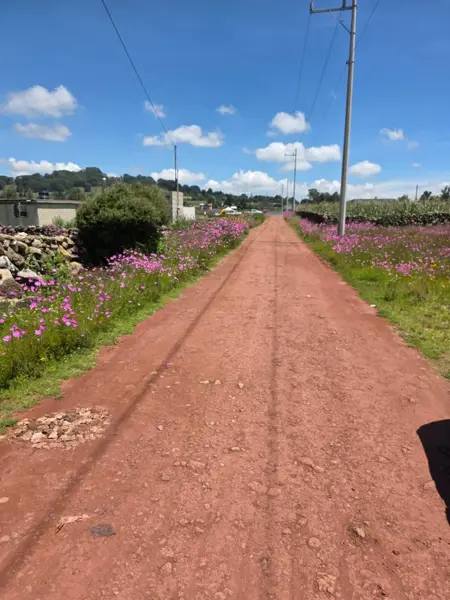 Terreno en venta en El Saltillo, Jilotepec — foto 3 de 10