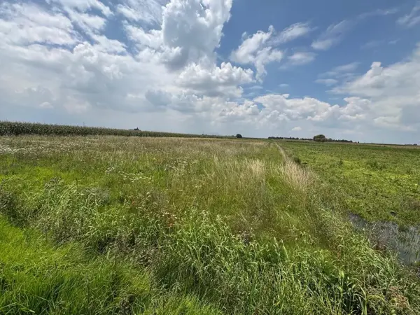 Terreno en venta en Santa Maria Atarasquillo, Lerma — foto 3 de 4