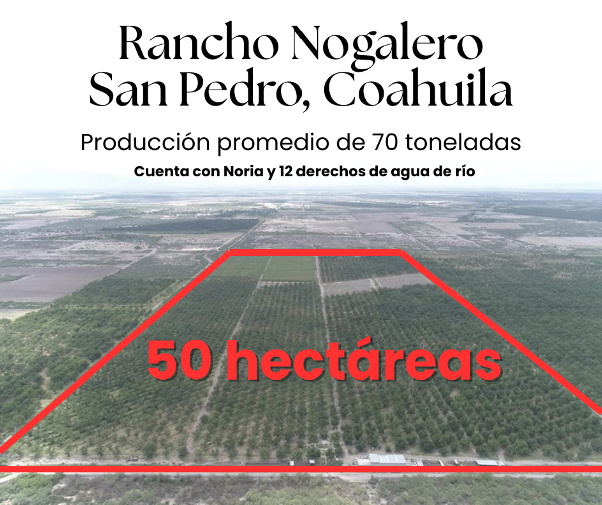 Finca-Rancho en venta en Santa María, San Pedro — foto 1 de 17