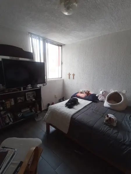 Casa en venta en Lomas Verdes 1a Sección, Naucalpan de Juárez — foto 3 de 12