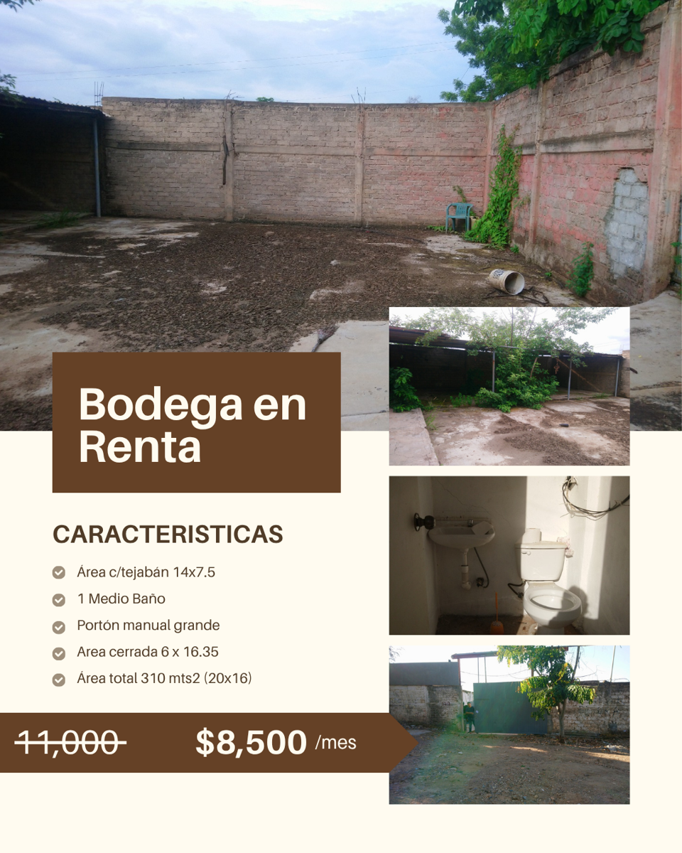 Terreno en renta en Independencia, Culiacán — foto 1 de 5