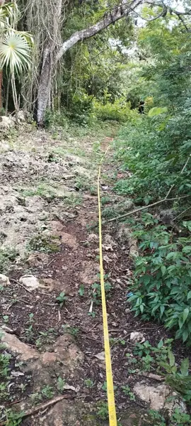 Terreno en venta en Esperanza, Lázaro Cárdenas, Quintana Roo