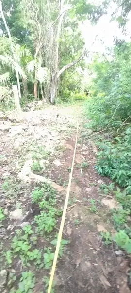 Terreno en venta en Esperanza, Lázaro Cárdenas — foto 2 de 2