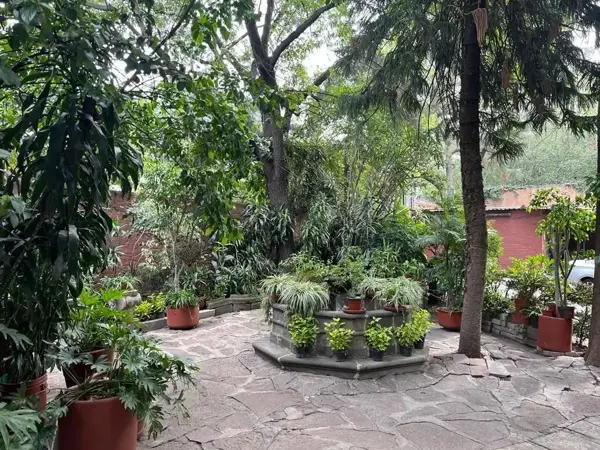 Terreno en venta en Tlacopac, Álvaro Obregón — foto 2 de 11