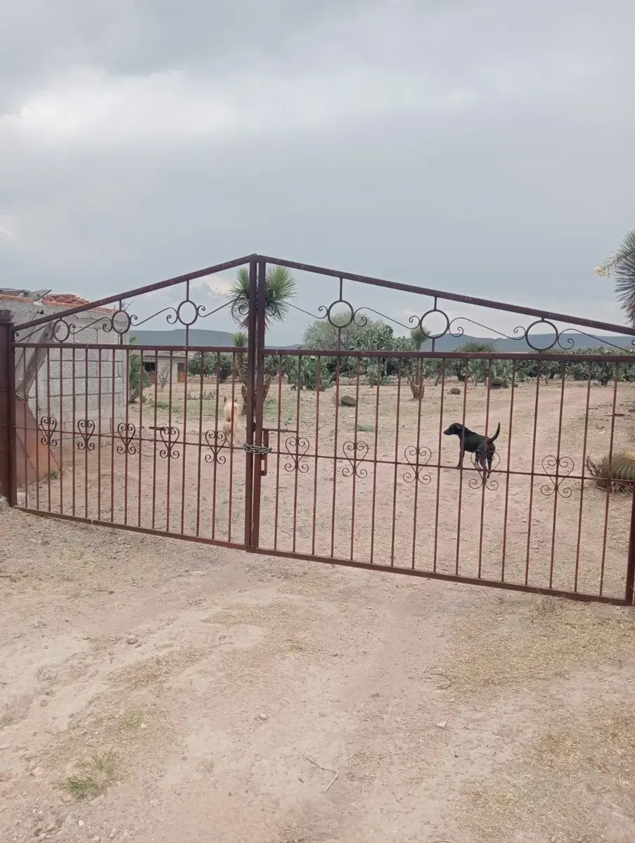 Terreno en venta en Rincón de Santa Anita, San José Iturbide — foto 1 de 20