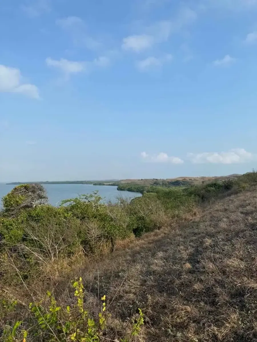 Terreno en venta en Arbolillo, Alvarado — foto 1 de 12