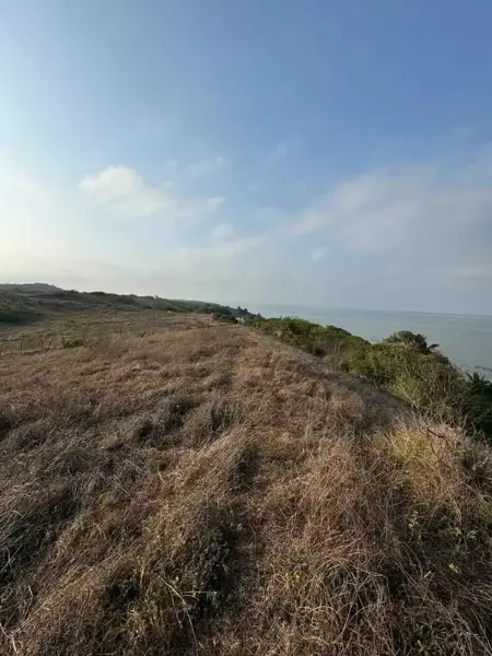Terreno en venta en Arbolillo, Alvarado — foto 2 de 12