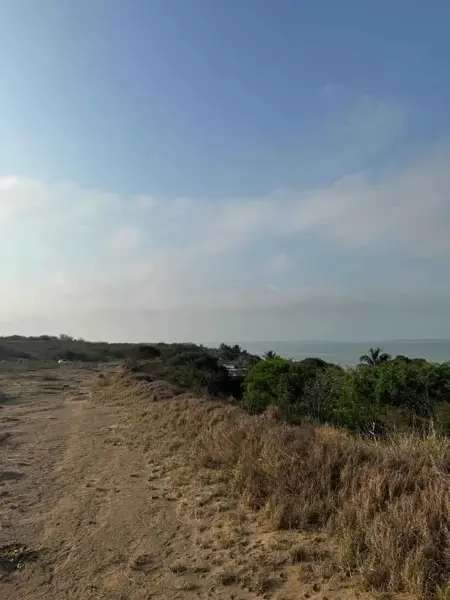 Terreno en venta en Arbolillo, Alvarado — foto 3 de 12