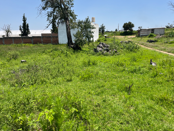 Terreno en venta en San Gabriel Ometoxtla, Juan C. Bonilla — foto 2 de 12