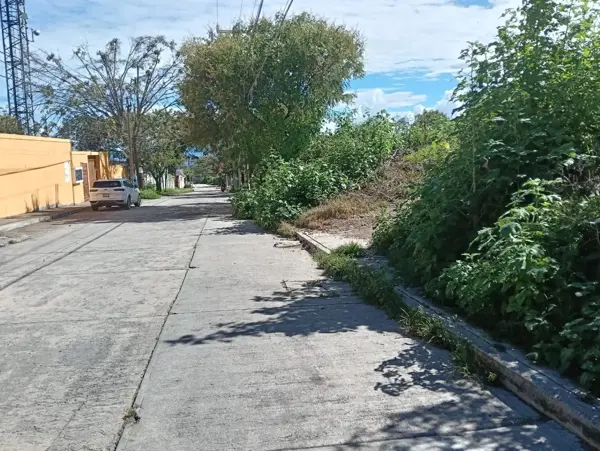 Terreno en venta en San Pedro, Ixtapan de la Sal — foto 2 de 17