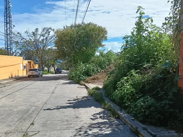 Terreno en venta en San Pedro, Ixtapan de la Sal — foto 3 de 17