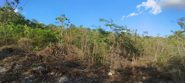 Terreno en venta en Esperanza, Lázaro Cárdenas — foto 2 de 3