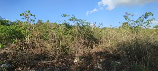 Terreno en venta en Esperanza, Lázaro Cárdenas — foto 3 de 3