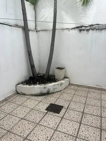 Casa en venta en Las Ceibas, Bahía de Banderas — foto 3 de 10