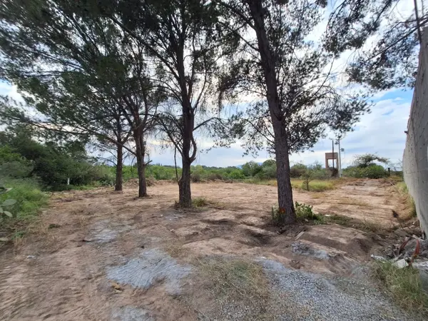 Terreno al norte en breña 400mts de los gonzales