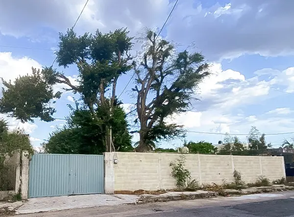 Terreno en venta en Jesus Carranza, Mérida — foto 3 de 4