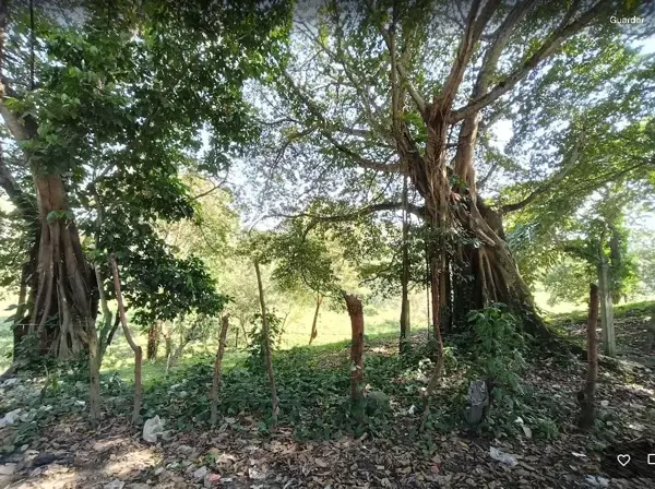 Terreno en venta en Maloapan, Martínez de la Torre — foto 2 de 20