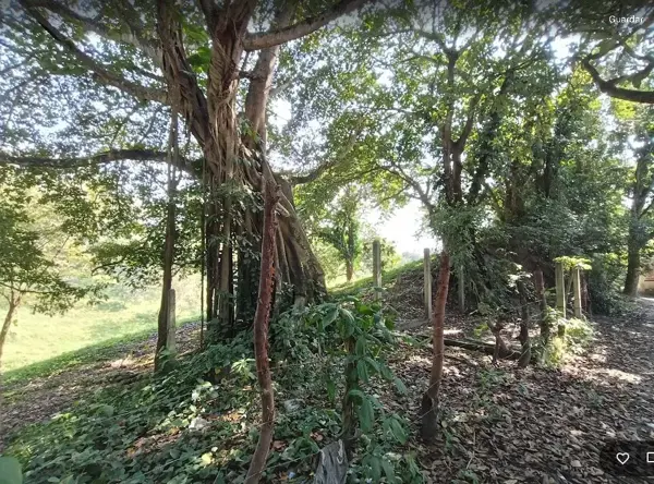 Terreno en venta en Maloapan, Martínez de la Torre — foto 3 de 20