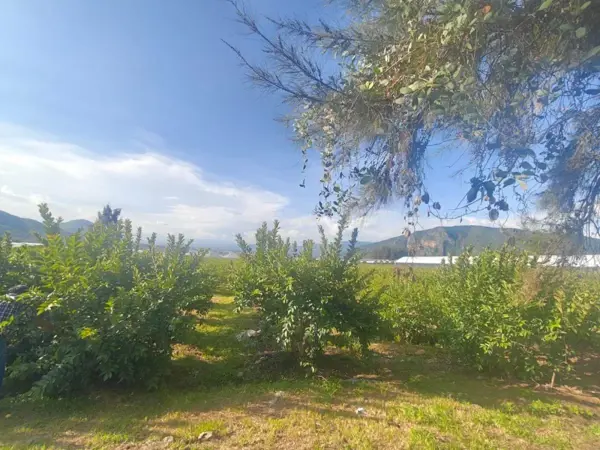 Terreno en venta en Tonatico Centro, Tonatico — foto 2 de 5