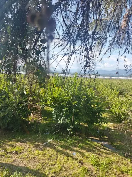 Terreno en venta en Tonatico Centro, Tonatico — foto 3 de 5