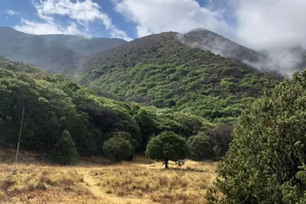Terreno en venta en El Diamante, Arteaga — foto 2 de 4