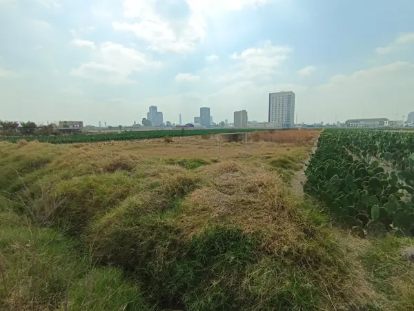 Terreno en venta en San Bernardino Tlaxcalancingo, San Andrés Cholula — foto 3 de 27