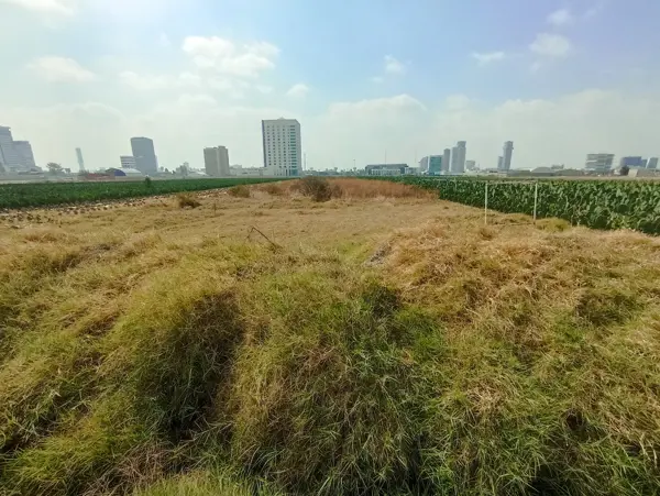 Terreno en venta en San Bernardino Tlaxcalancingo, San Andrés Cholula — foto 2 de 27