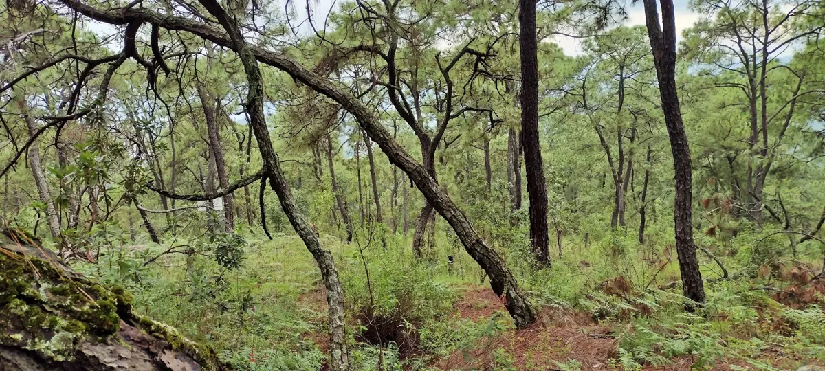 Terreno en venta en Valle de Bravo, Valle de Bravo — foto 1 de 6