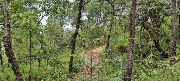 Terreno en venta en Valle de Bravo, Valle de Bravo — foto 3 de 6