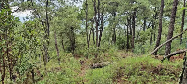 Terreno en venta en Valle de Bravo, Valle de Bravo — foto 2 de 6