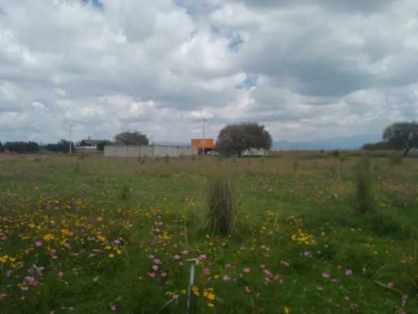 Terreno en venta en San Miguel Totocuitlapilco, Metepec — foto 3 de 4