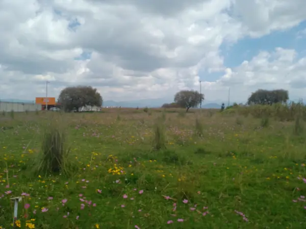 Terreno en venta en San Miguel Totocuitlapilco, Metepec — foto 2 de 4